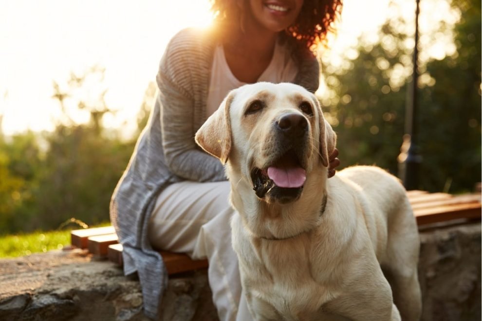 Thoughtful Gestures for Someone Who Lost a Pet